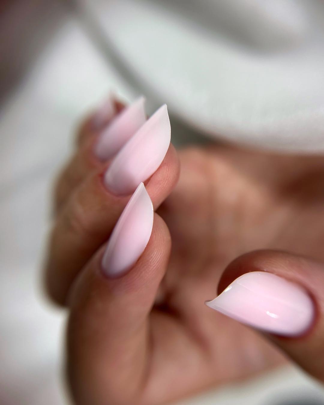 566231003_122275322474031205_1025352868319652227_n