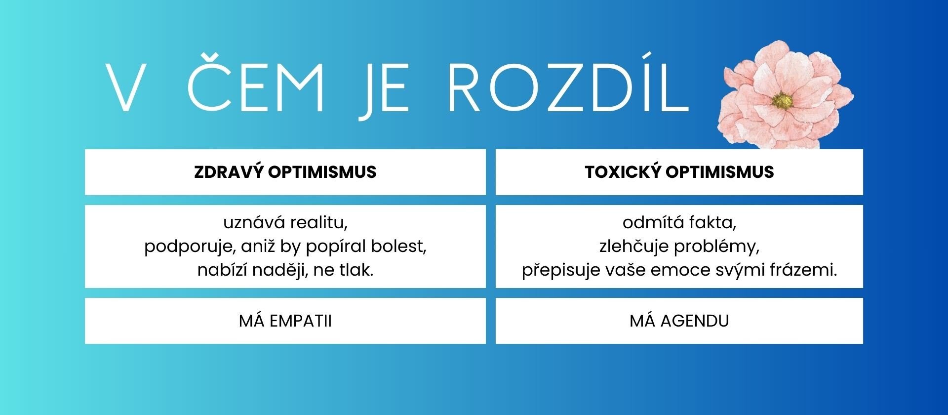 img_01122025 (4) img_01122025 (4)