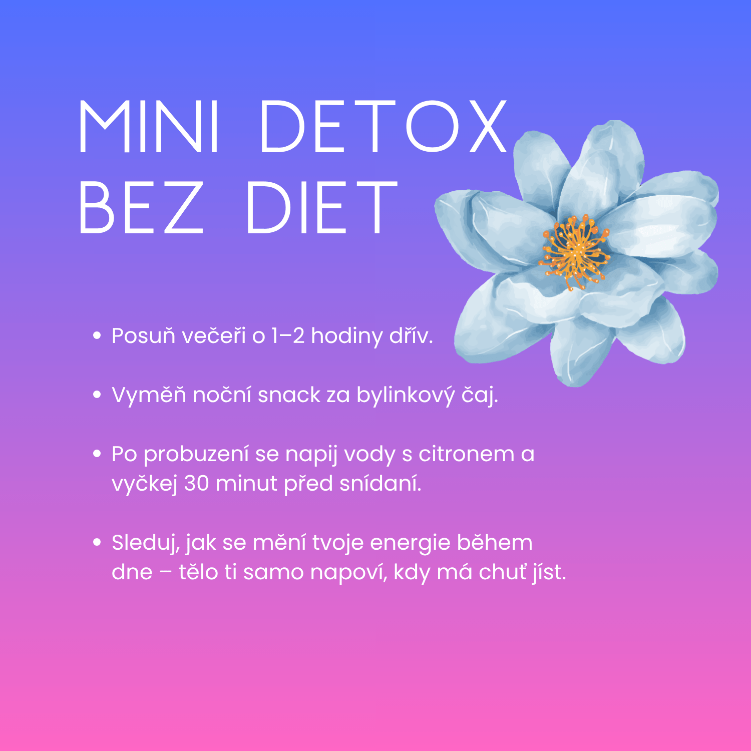 mini detox mini detox