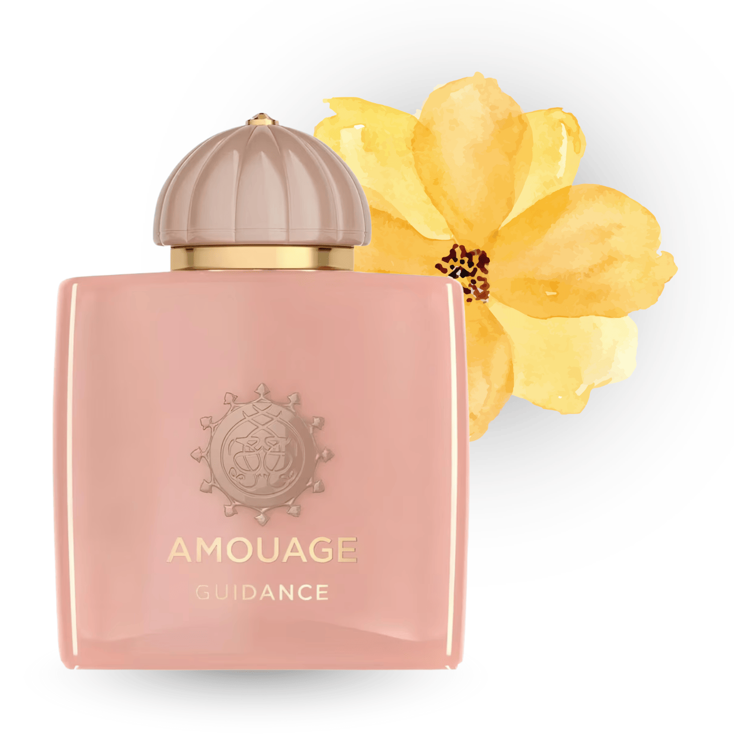 Amouage – Guidance
