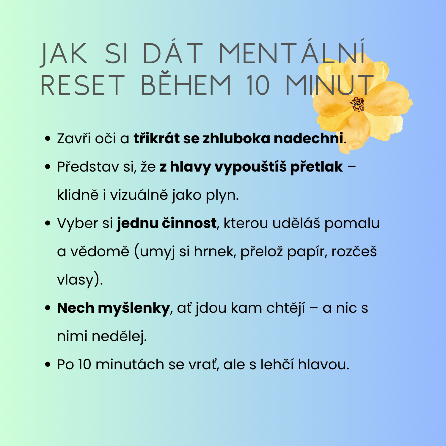 sos mentalni detox
