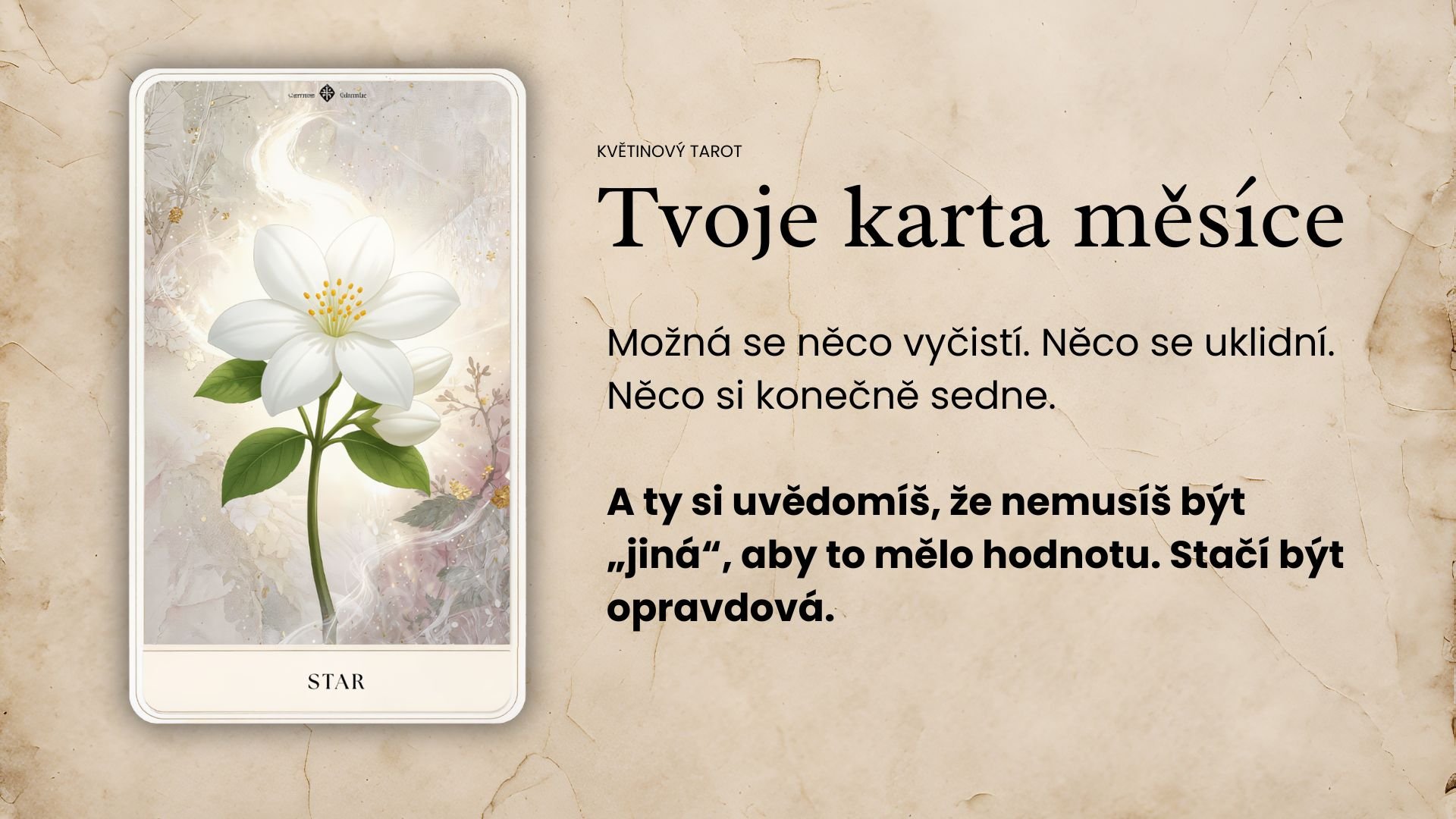 mozna-neudelas-zadne-velke-gesto-mozna-nikam-dramaticky-neodejdes-ale-uvnitr-se-ti-prehodi-vyhybka-a-najednou-to-co-jsi-driv-brala-jako-normu-uz-proste-nedava-smysl-10