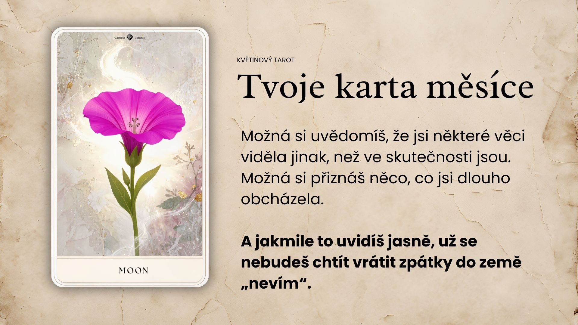 Možná neuděláš žádné velké gesto. Možná nikam dramaticky neodejdeš. Ale uvnitř se ti přehodí výhybka. A najednou to, co jsi dřív brala jako normu… už prostě nedává smysl. (11)