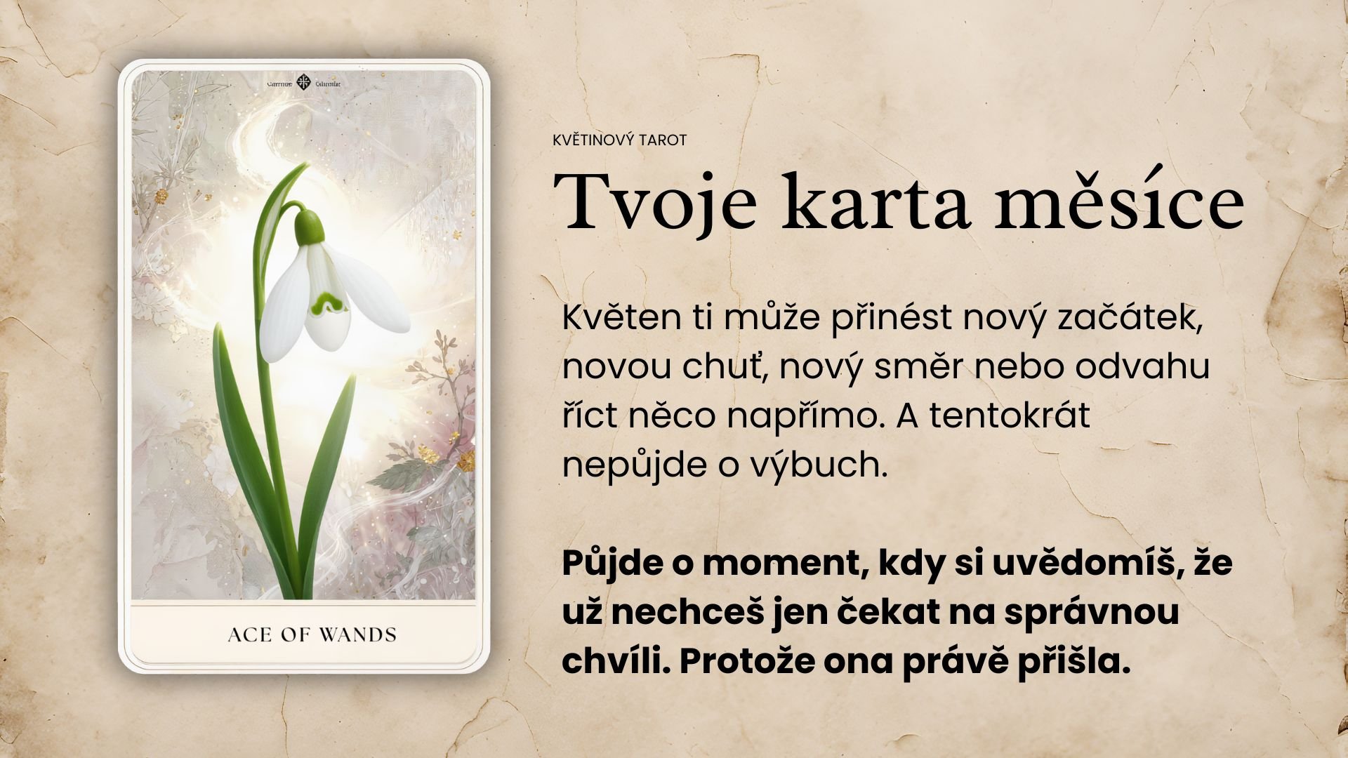 Možná neuděláš žádné velké gesto. Možná nikam dramaticky neodejdeš. Ale uvnitř se ti přehodí výhybka. A najednou to, co jsi dřív brala jako normu… už prostě nedává smysl. (12)