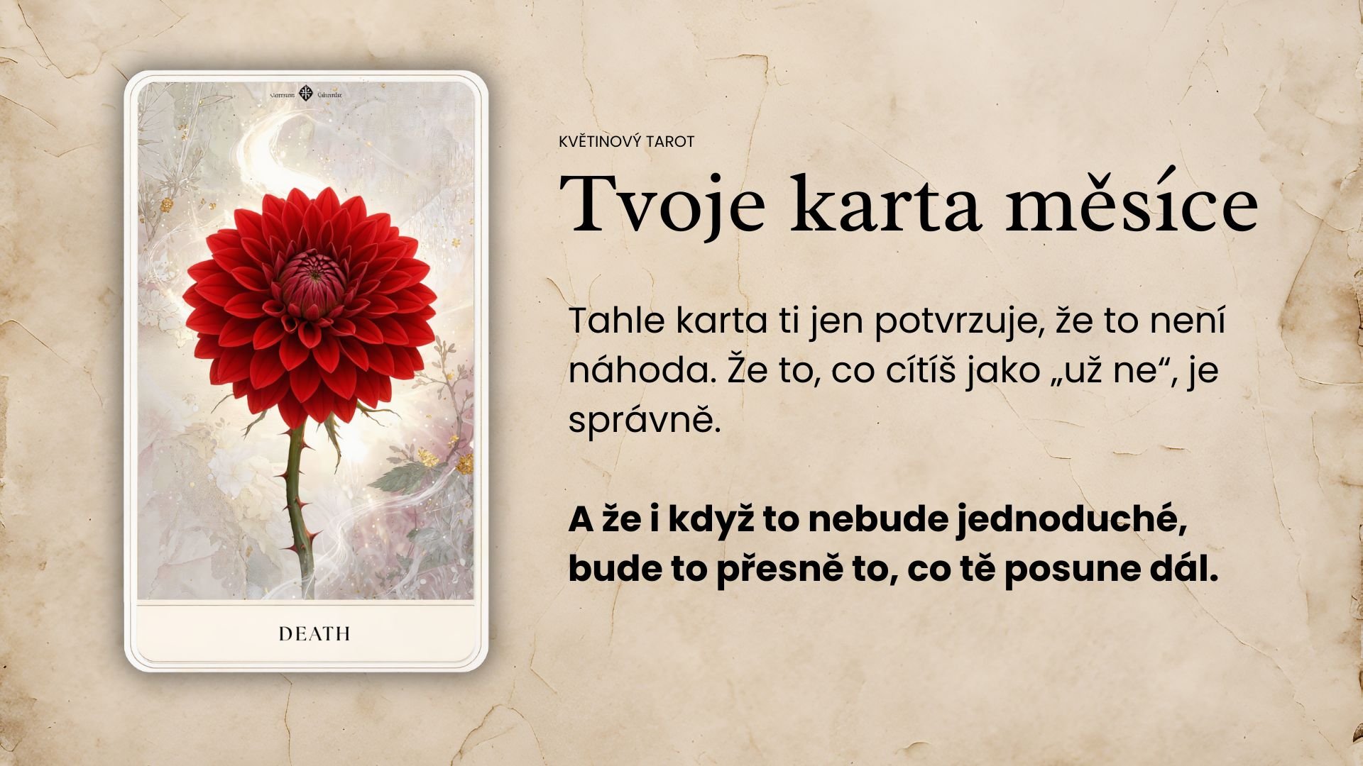 Možná neuděláš žádné velké gesto. Možná nikam dramaticky neodejdeš. Ale uvnitř se ti přehodí výhybka. A najednou to, co jsi dřív brala jako normu… už prostě nedává smysl. (7)