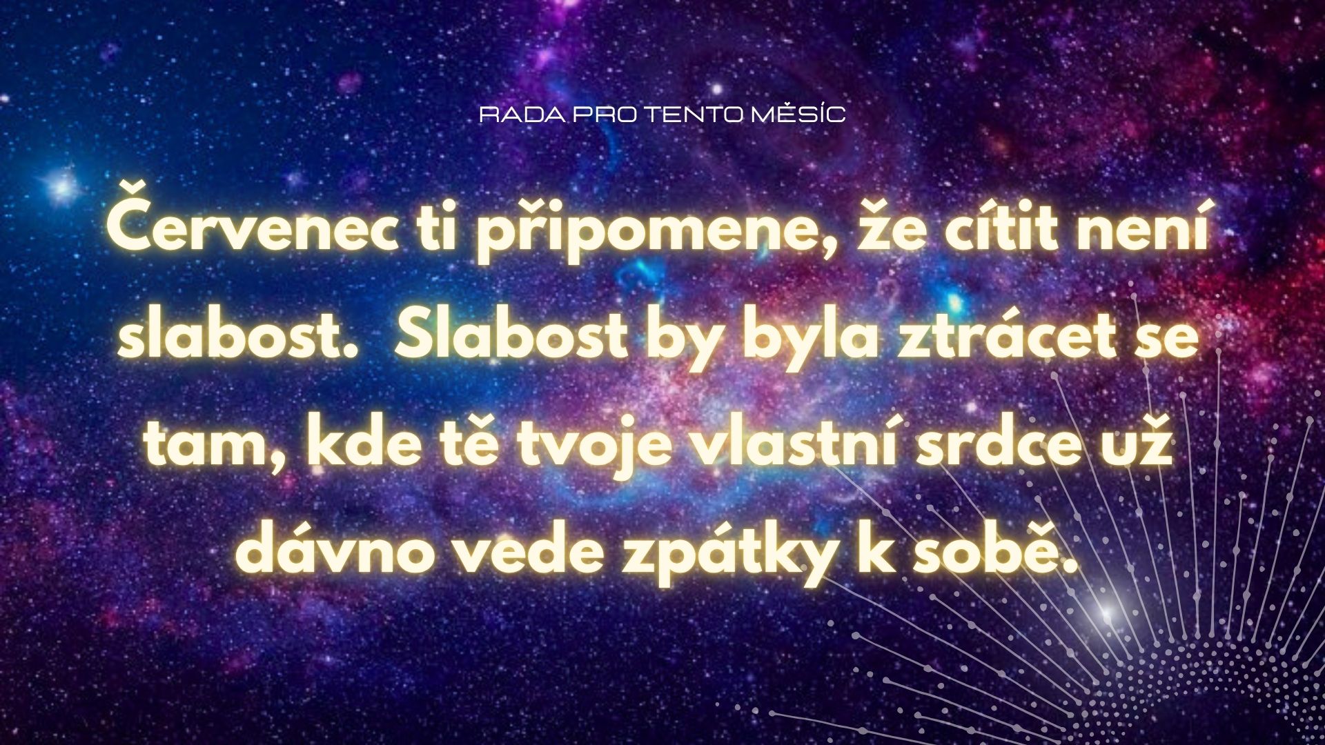RADA ryby RADA ryby