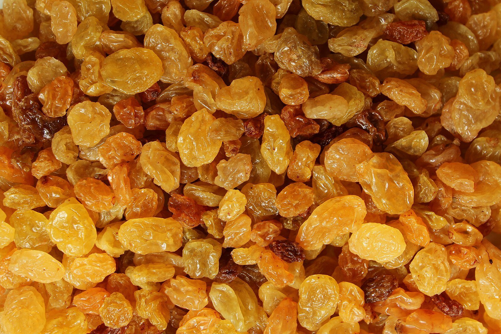 Raisins_sec_Sun_-_3